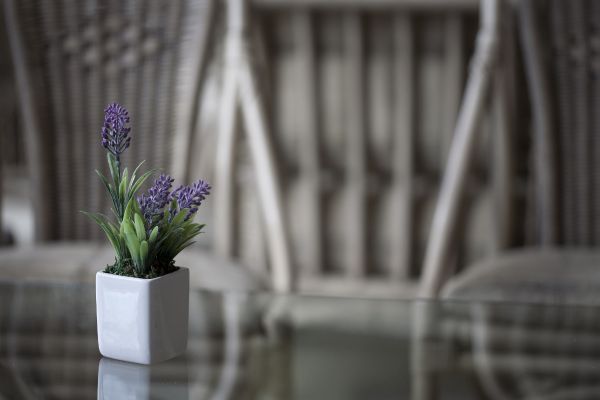 Karolina Park Hotel And Conference Center (Vilnius)